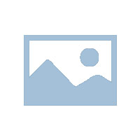 司機端常見問題解答（FAQ）